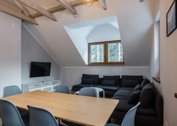 Aston -Domek Przy Lesie, Przestronny, Apartamenty